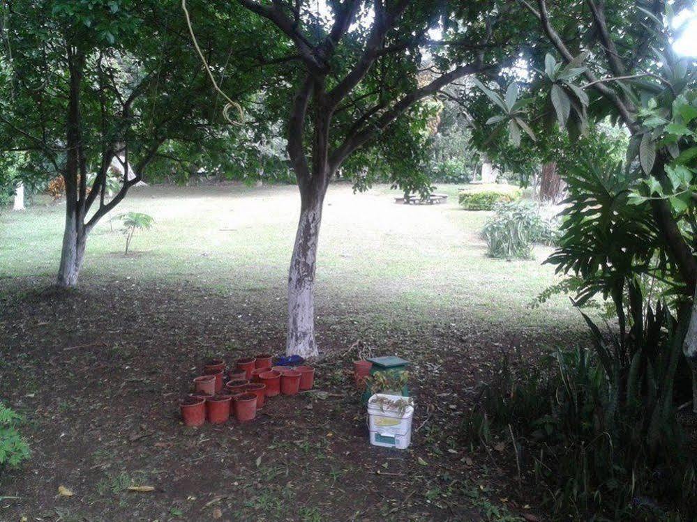 Casa Echavarria Σαν Χοσέ Εξωτερικό φωτογραφία