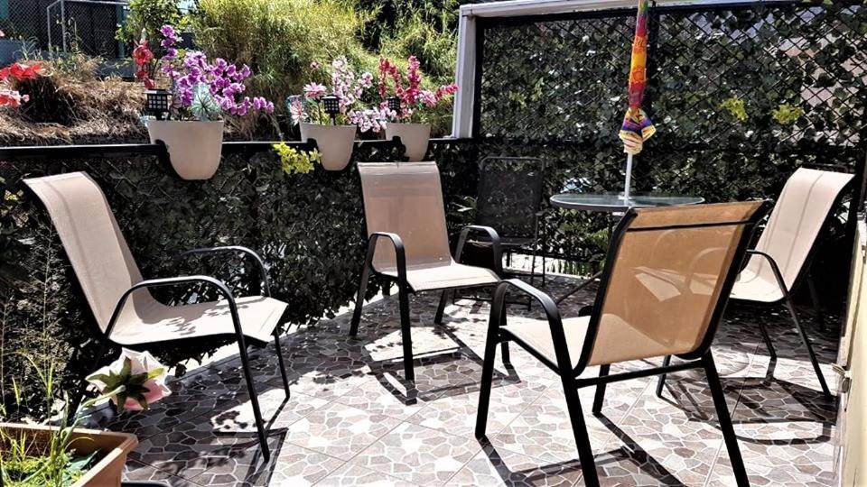 Casa Echavarria Σαν Χοσέ Εξωτερικό φωτογραφία